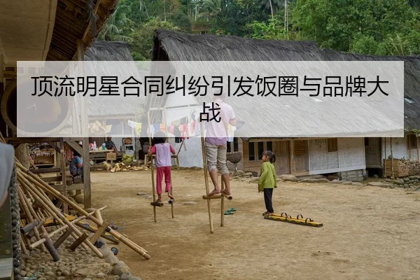顶流明星合同纠纷引发饭圈与品牌大战